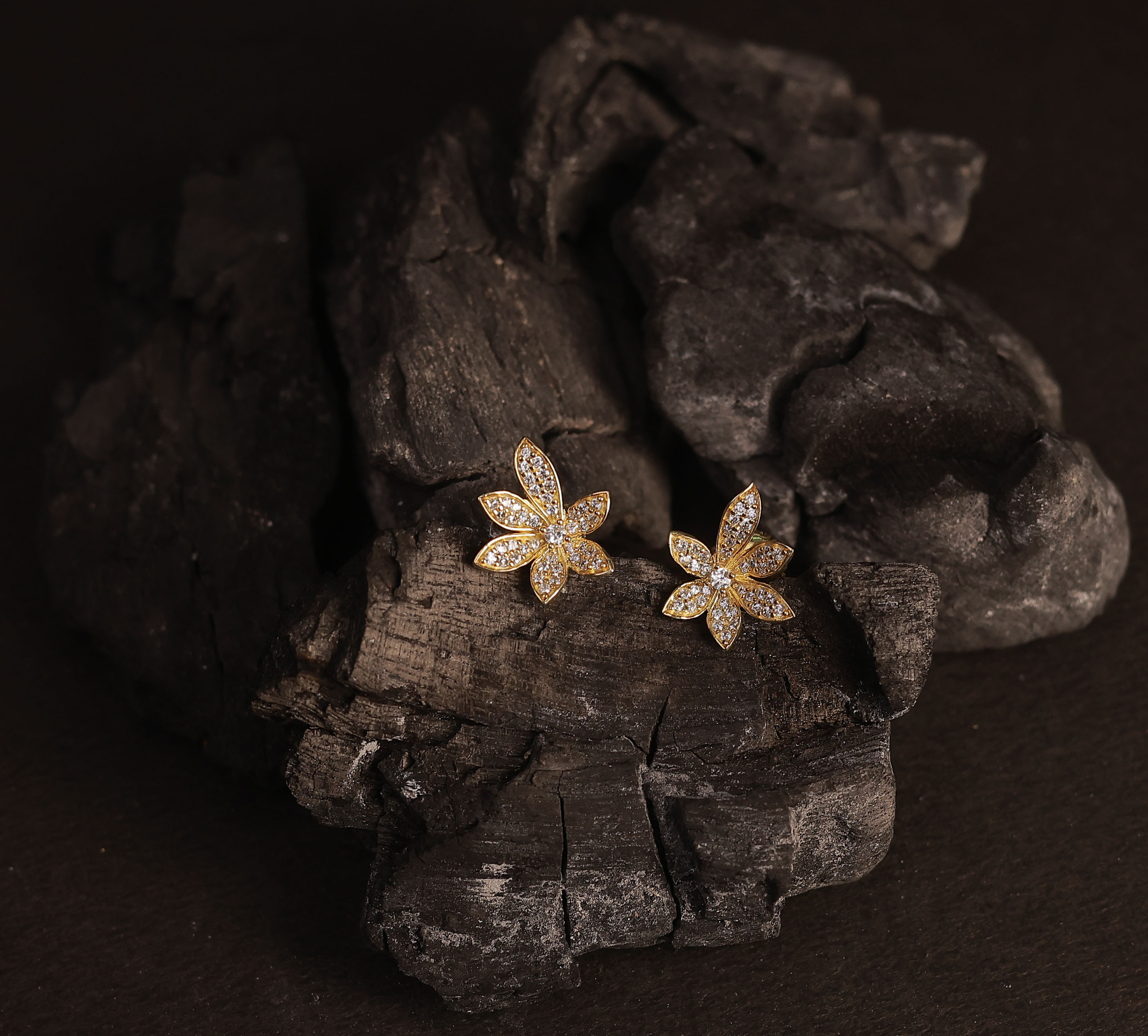 Silver anicha stud with gold finish